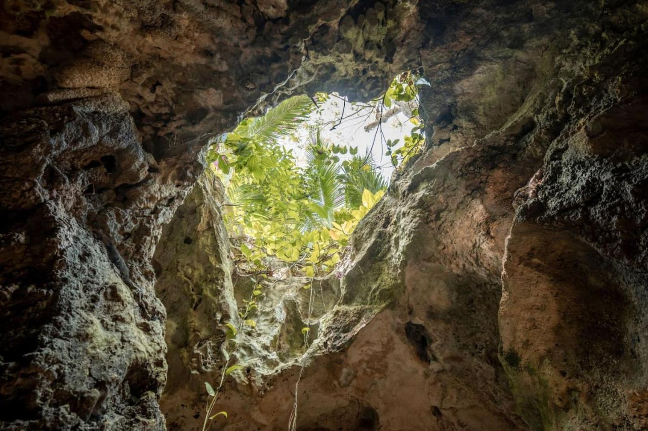 Glamping Xcaret Oasis Private Cave For 3